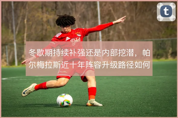 冬歇期持续补强还是内部挖潜,帕尔梅拉斯近十年阵容升级路径如何取舍